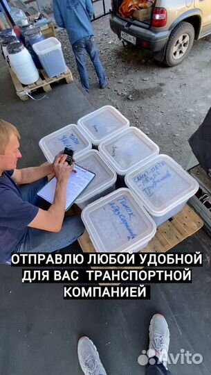 Мед оптом от 500кг