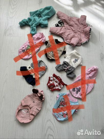 Одежда для собак мелких пород