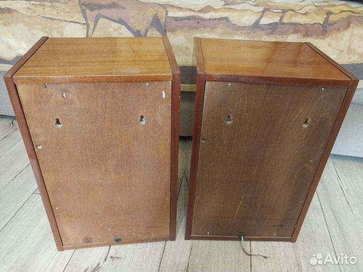 Акустика 10MAC-1M акустические колонки 70е годы