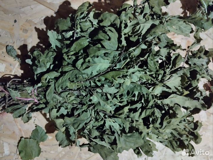 Веники для бани