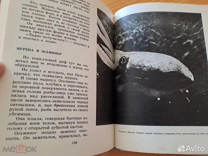 Осьминоги за Стеклом Сахарнов 1975 Детская Литерат