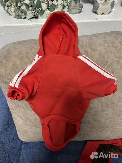 Одежда для маленькой собаки