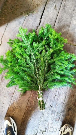 Пихтовые подстилки