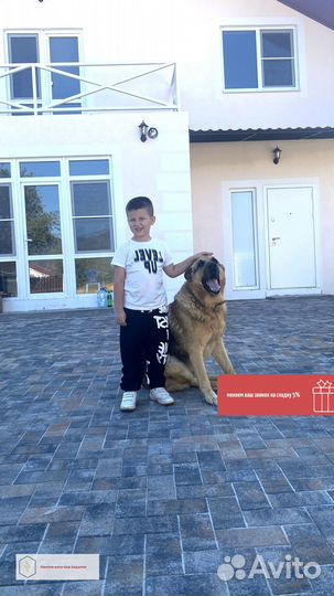 Тротуарная Плитка