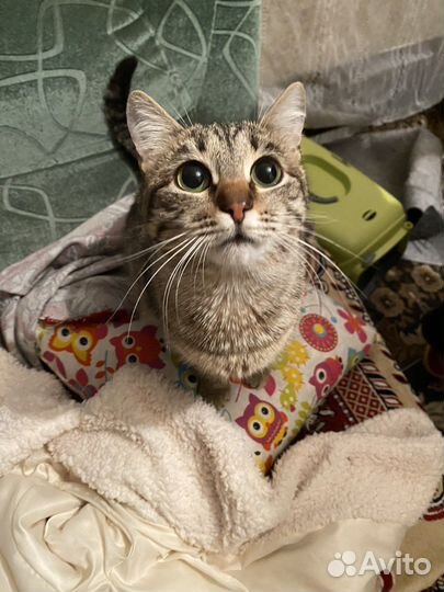 Стерильная девочка в ответственные руки