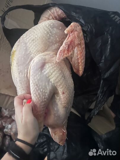 Индейка 5-6 кг