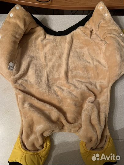 Одежда для собак