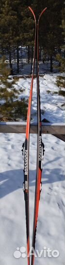 Rossignol wcs xium 197 c2 лыжи беговые