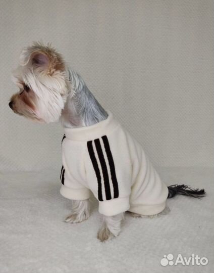 Одежда для кошек, собак