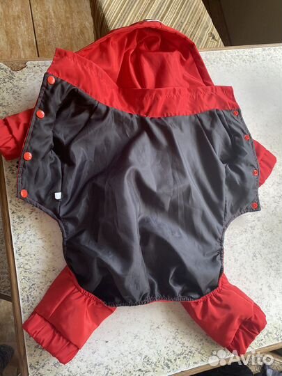 Комбинезон для небольшой собаки