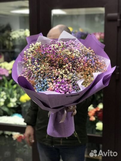 Гипсофилы