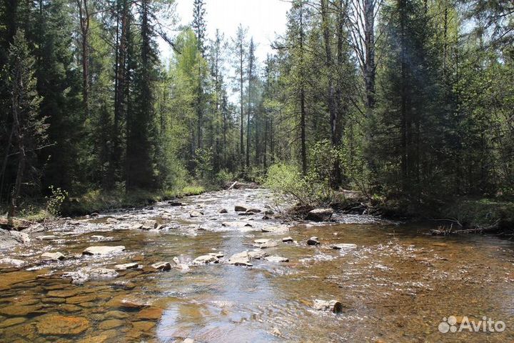 Таганай (гора Черная и Каменная река)