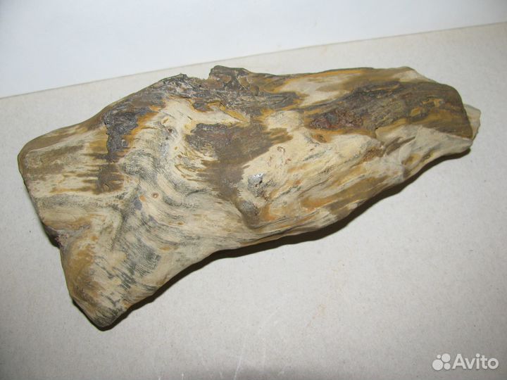 Окаменелое дерево (в коллекцию)