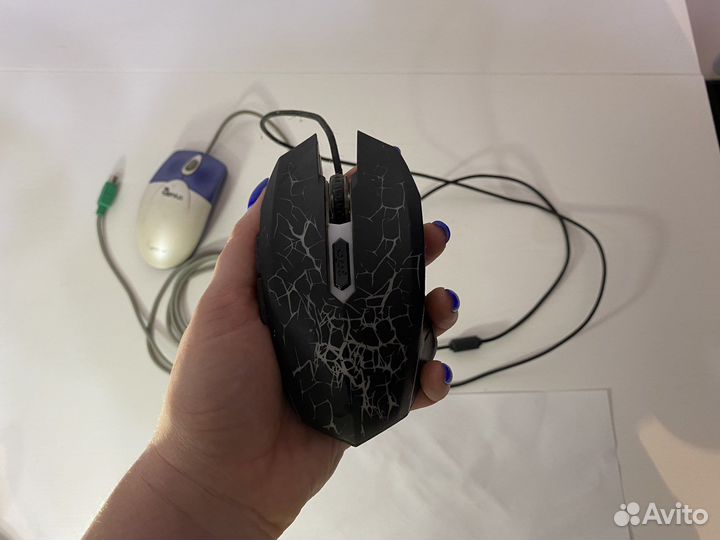 Мышь компьютерная