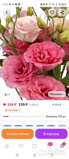 Цветы эустома