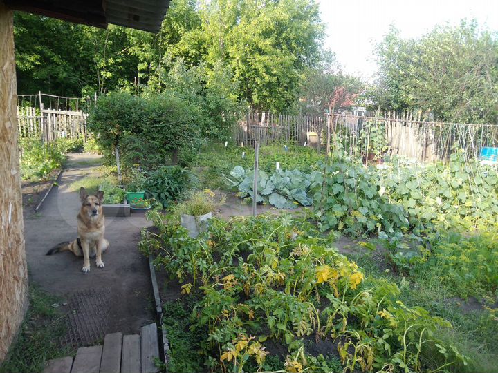 Дача 35 м² на участке 4,5 сот.