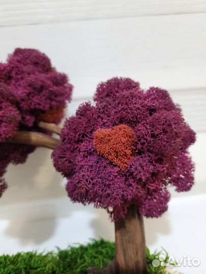 Бонсай Топиарий