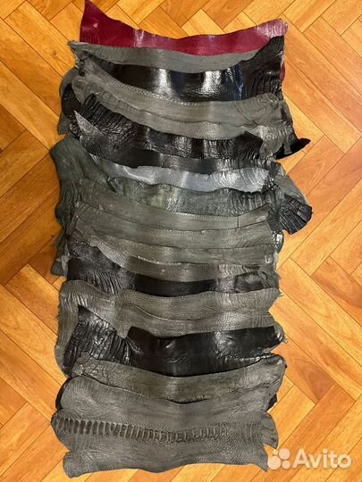 Кожа с лап страуса