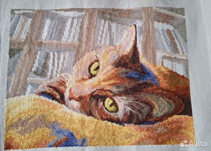 Картина Кот-книголюб