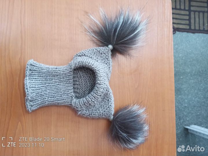 Одежда для собак