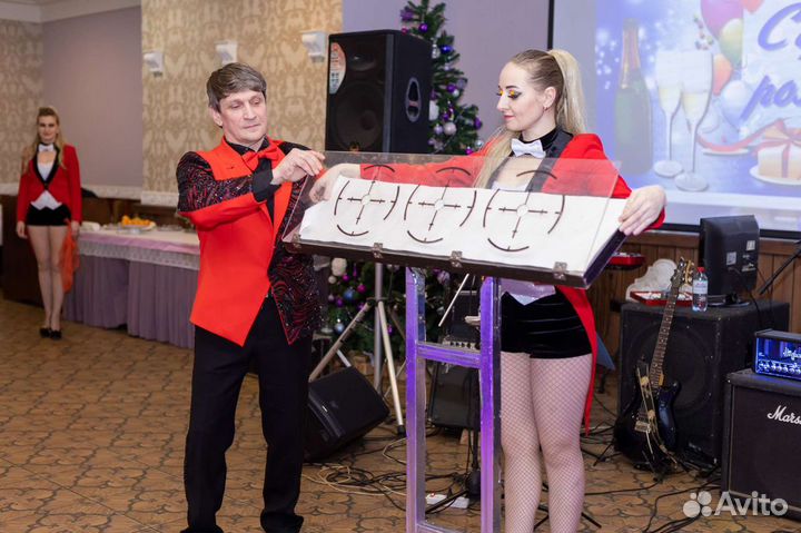 Фокусы, иллюзия, королевские пуделя, питон Лили и