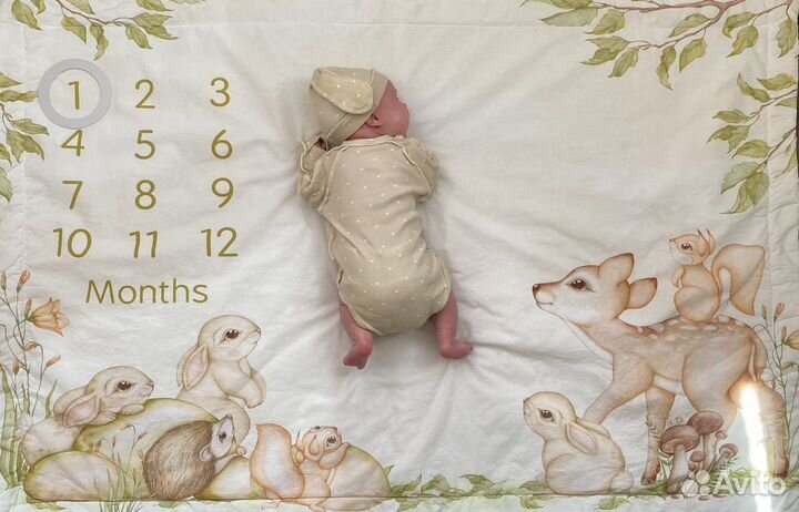 Фотоплед для малыша по месяцам