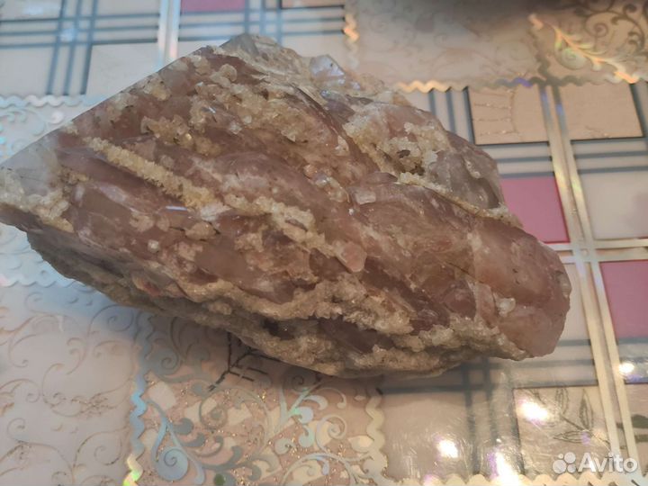 Ракушки морские и камни Заполярья