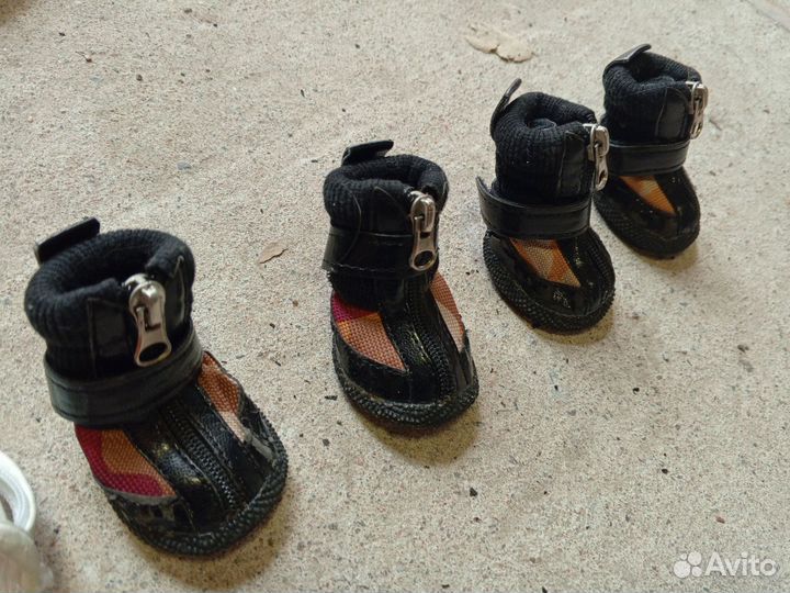 Одежда для маленьких собак