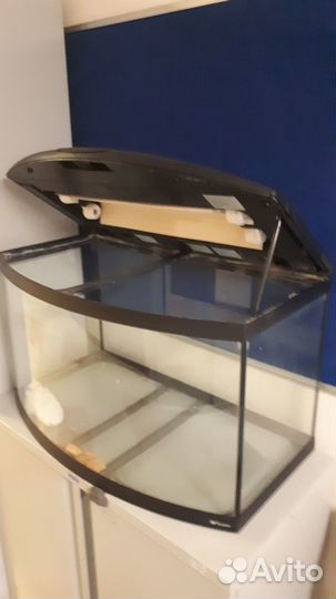 Аквариумные рыбки