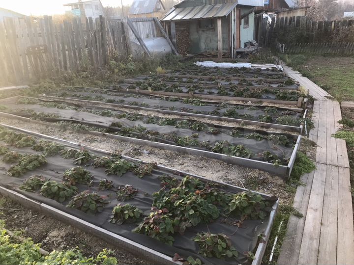 Дача 30 м² на участке 8 сот.