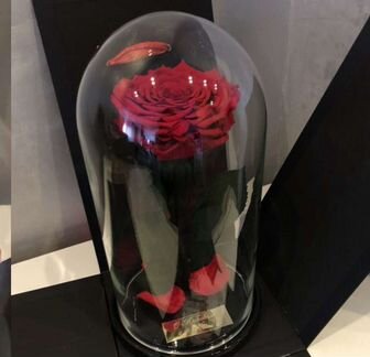Роза в колбе