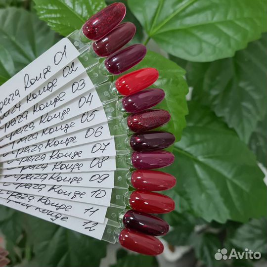 Гель лак Elpaza Rouge