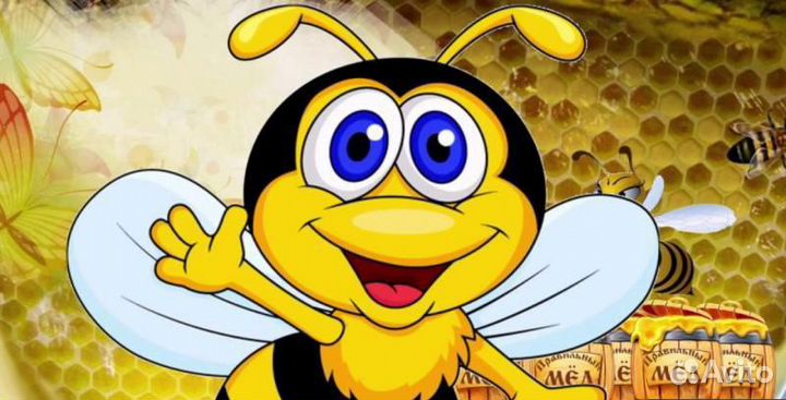 Пчелосемьи