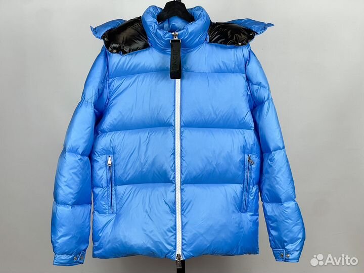 Down Jacket Moncler Blue