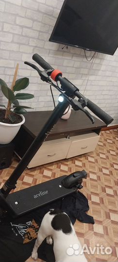 Электросамокат