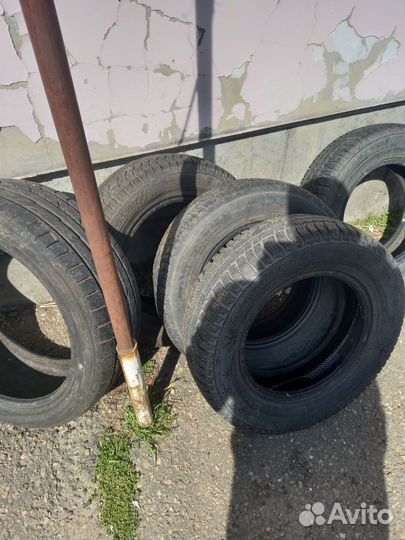 Cordiant Polar SL 175/70 R13