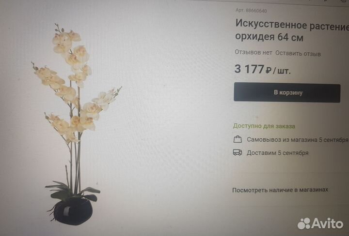 Цветы декоративные Engard Орхидея в кашпо 13х13х67