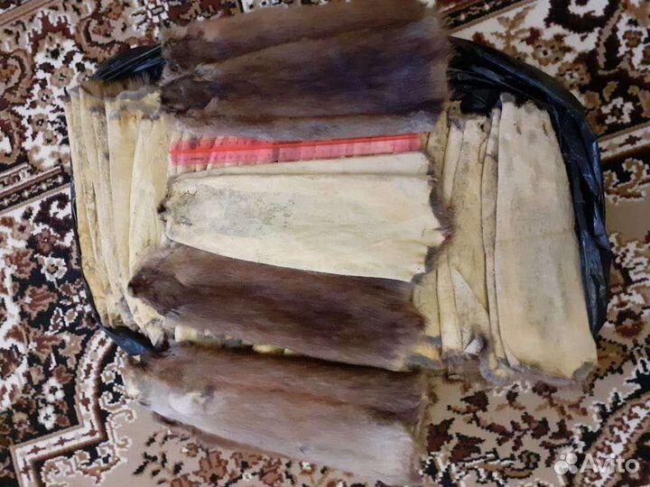 Шкуры ондатры, выделанные