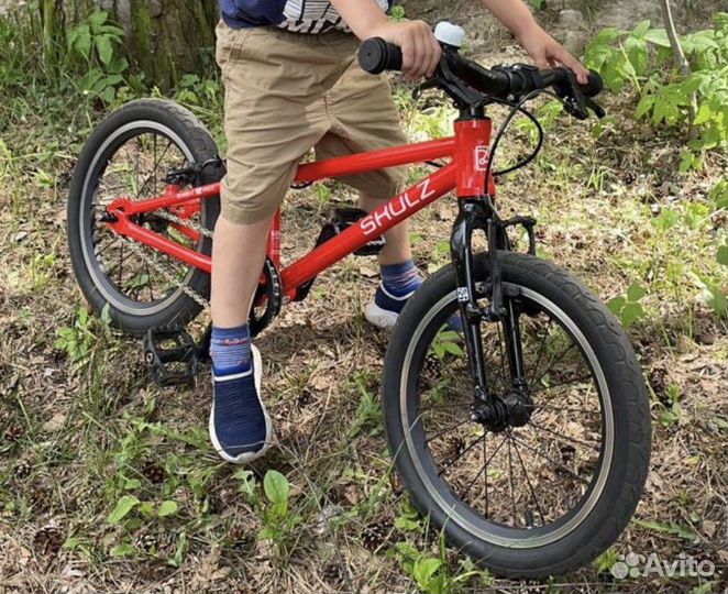 Shultz bubble race 16