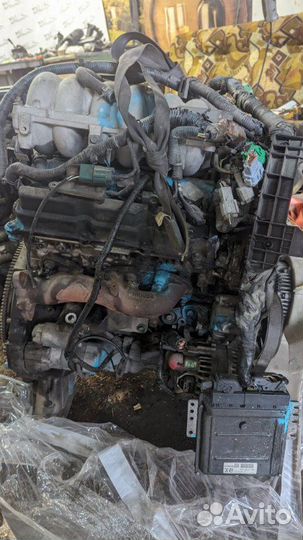 Двигатель Nissan Elgrand E51 VQ35DE 2006