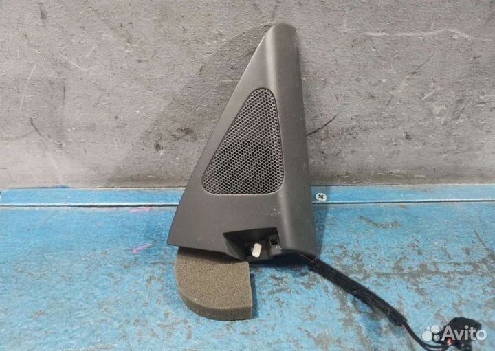 Динамик передний правый Volkswagen Tiguan NF