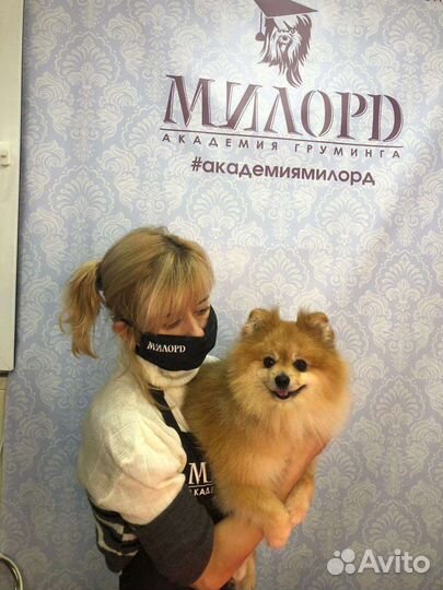 Стрижка собачек