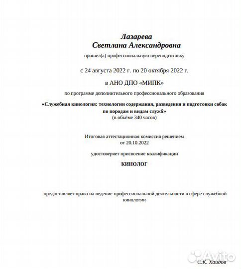 Дрессировка и коррекция поведения собак