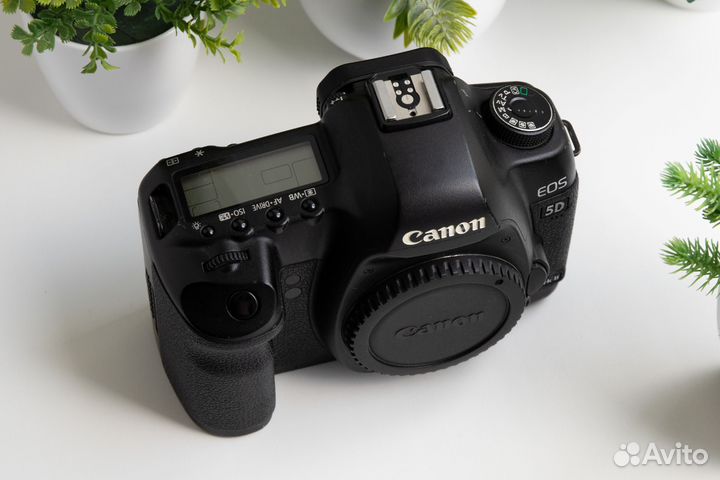 Canon 5D Mark II