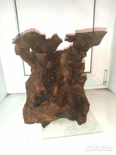 Коряга мангровая