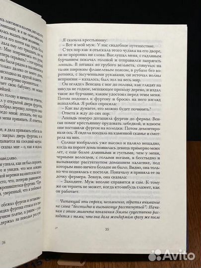 Любимец женщин