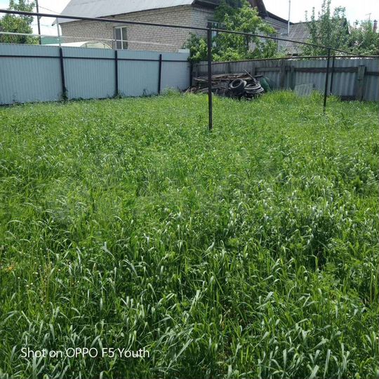 Дом 36,2 м² на участке 5 сот.