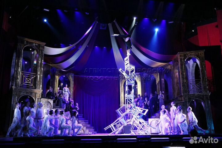 Мюзикл «Принцесса цирка»