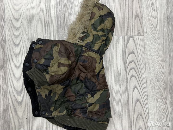 Одежда для собак куртка