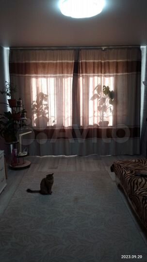 2-к. квартира, 52 м², 5/9 эт.